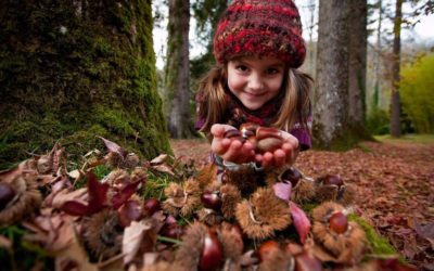 Activado un protocolo para la entrada en Otoño a Irati