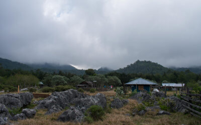 Red Explora organiza una Jornada sobre, Turismo de Naturaleza y Sostenibilidad.