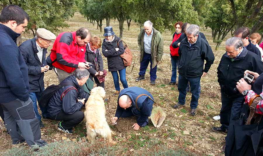 Trufaexperiencias en el Museo de la Trufa de Metauten