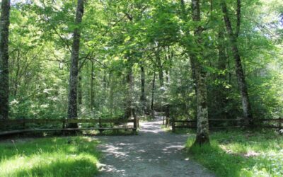 Abierto el plazo de inscripción para subvenciones a entidades de la Red Explora Navarra por valor de 330.000 euros