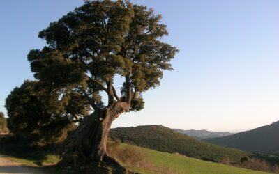 El Gobierno de Navarra subvenciona once proyectos de inversión para entidades de la Red Explora Navarra